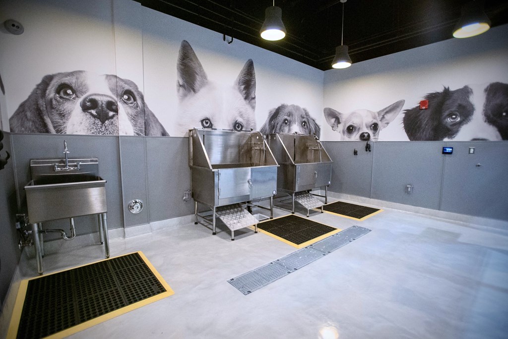 a room with sinks and dogs painted on the wall