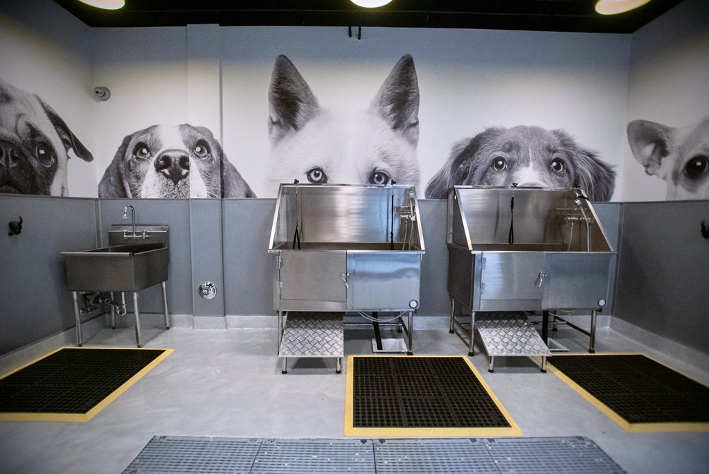 a wall mural of dogs in a kitchen with stainless steel sinks
