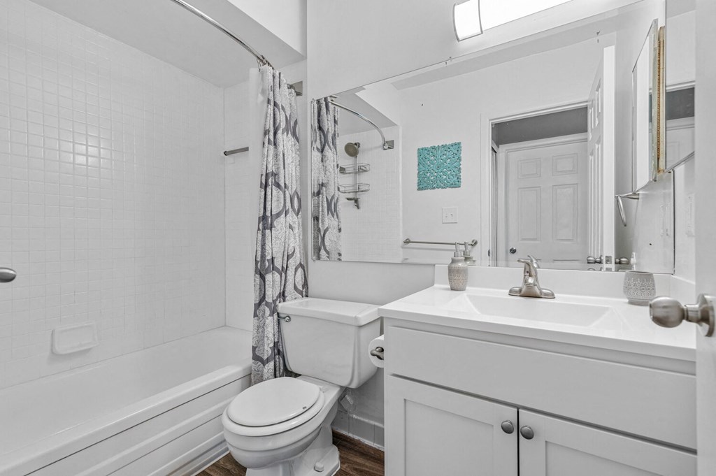 a bathroom with a white sink and toilet next to a bathtub with a shower curtain at Apple Ridge Apartments - Livonia, MI, Livonia