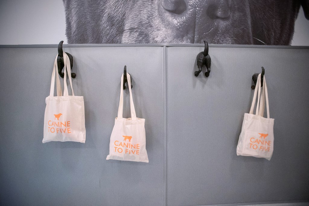 three tote bags hanging on a wall next to a dog