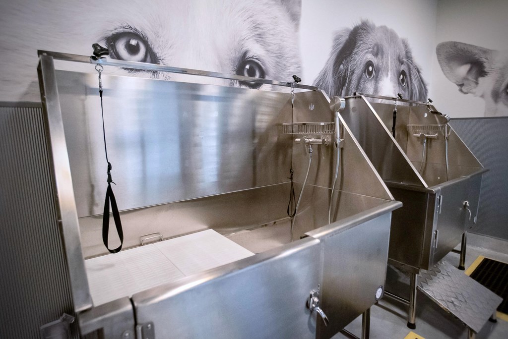 a photo of two dogs in a stainless steel incubator