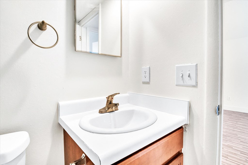 a bathroom with a sink and a mirror
