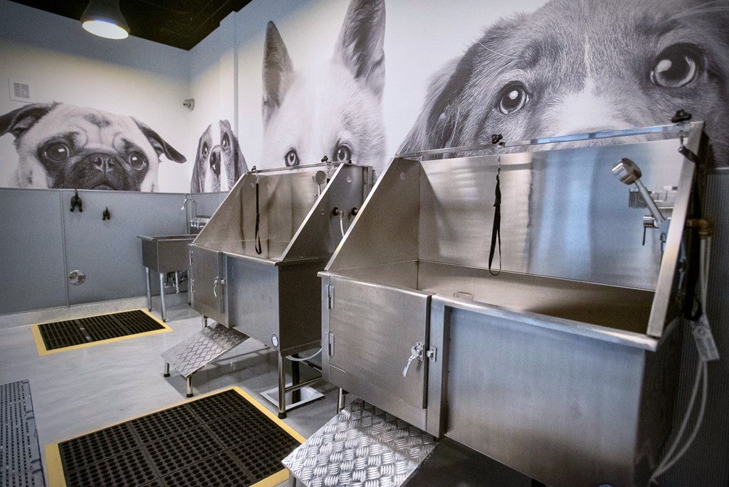 a kitchen with stainless steel utensils and a mural of a dog