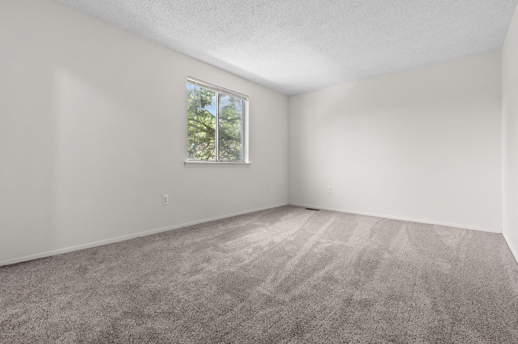 Plush Carpeting at Sterling Lake - Sterling Heights, MI, Michigan, 48312