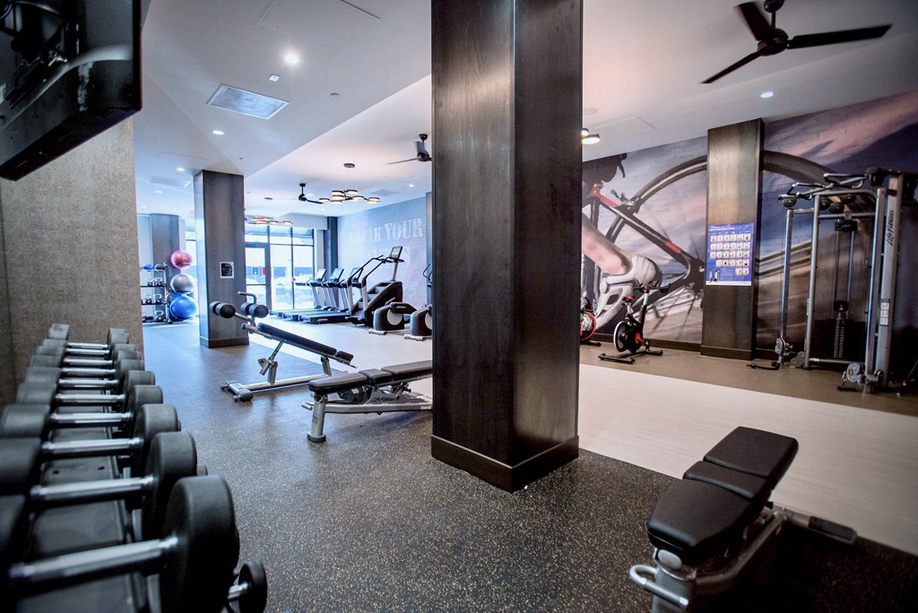 a gym with weights and a wall mural of a ski slope