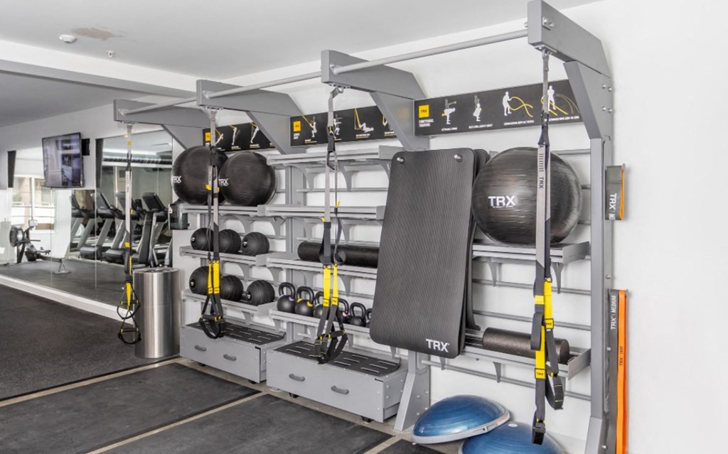 a gym with weights and a punching bag on a rack