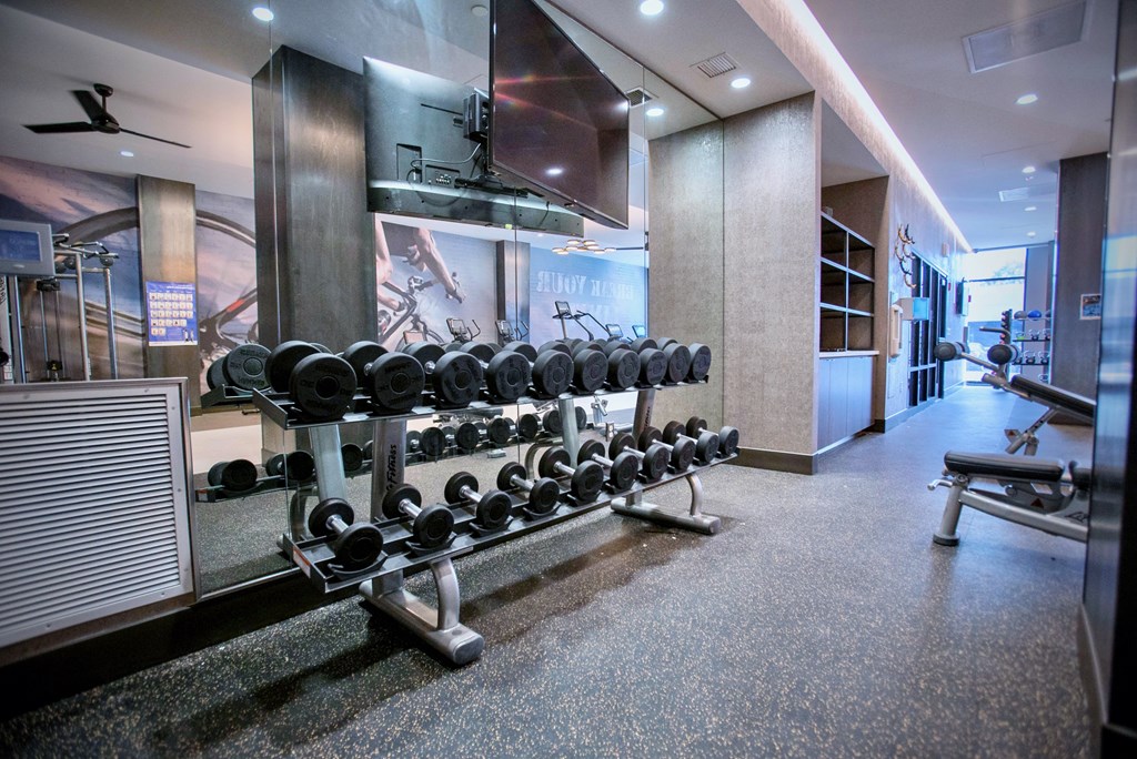 a rack of weights in a gym with a television on the wall