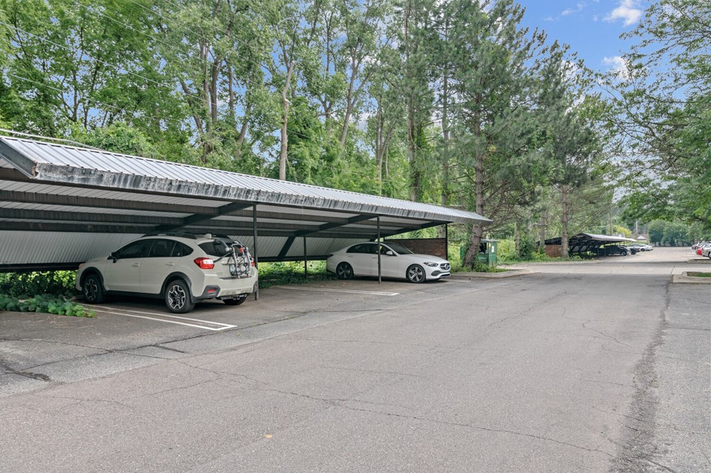 Parking Lot at Apple Ridge Apartments - Livonia, MI, Michigan