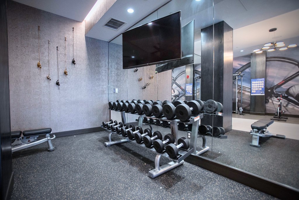 the gym is equipped with weights and a television