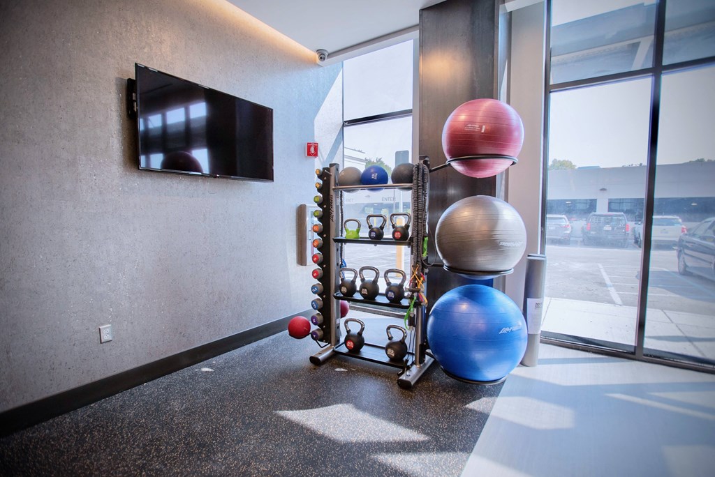 a workout room with balls and a television on the wall