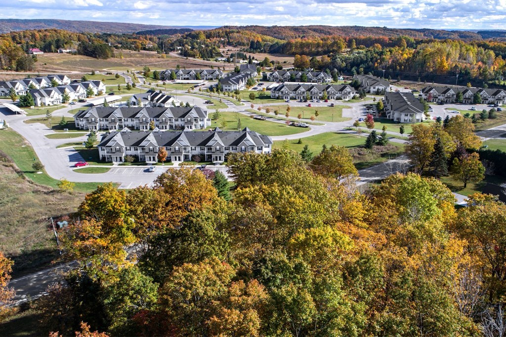 an aerial view of a community with houses and trees