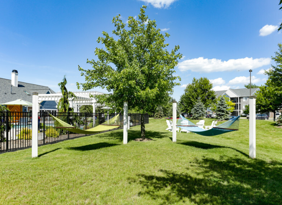 a park with hammocks and a hammock swing in the grass