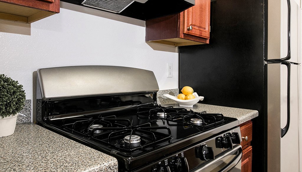 Chef-Friendly Gas Stove at Canton Club