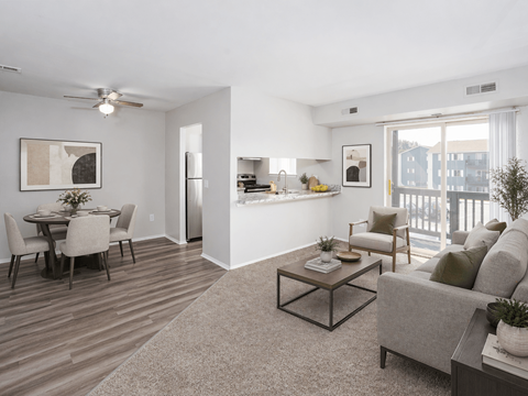 A living room with a grey couch, a coffee table, and a dining table with chairs.