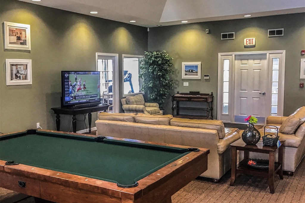 a game room with a pool table and a tv