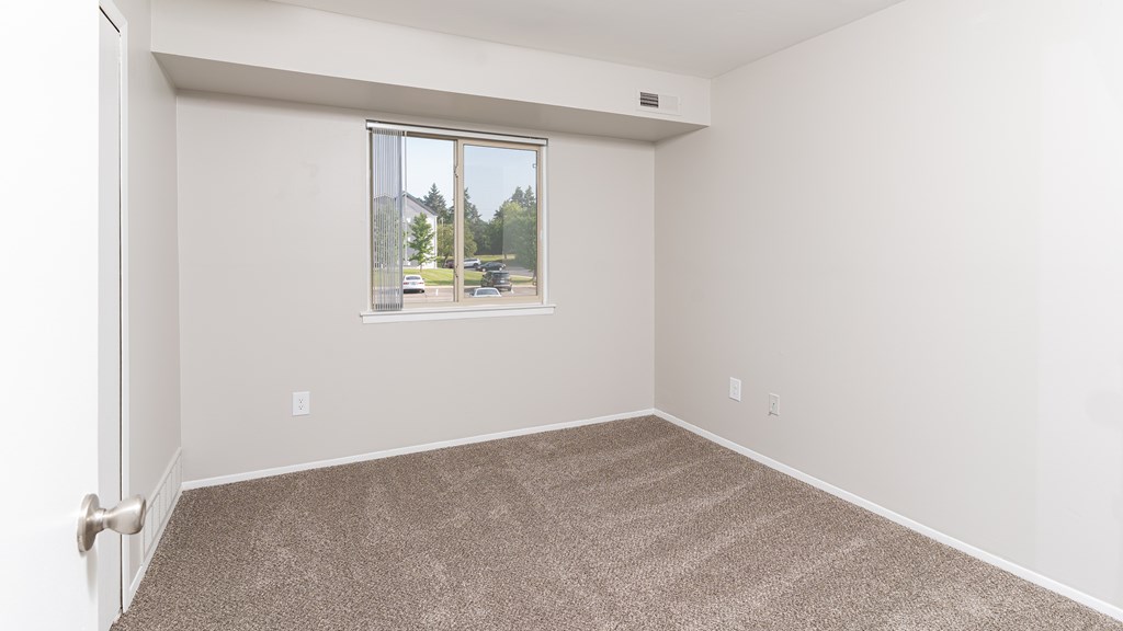 A room with a carpeted floor and a window showing an outdoor view.