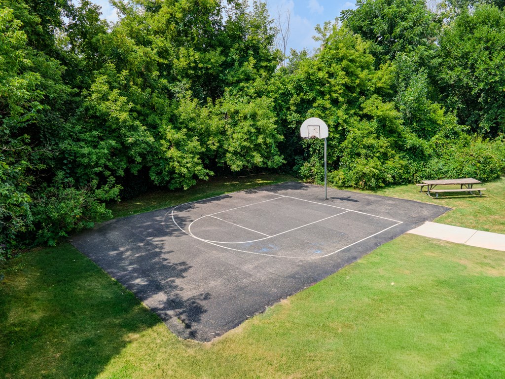 A basketball court surrounded by green trees.