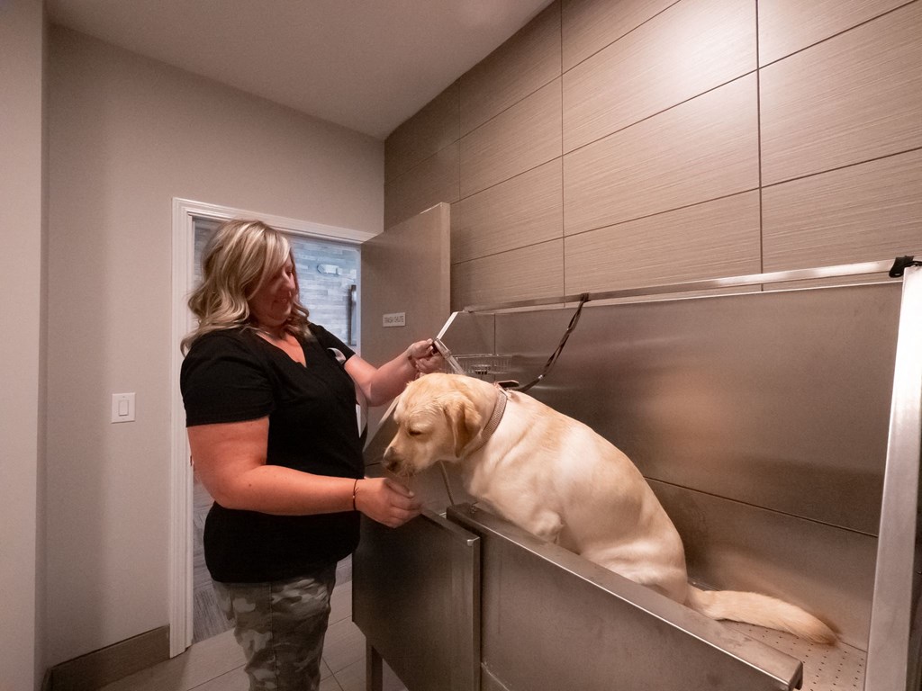 Pet Friendly Dog Wash Station