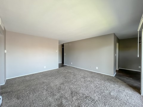 a bedroom with a carpeted floor and grey walls