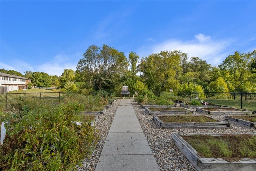a garden with lots of plants in wooden boxes