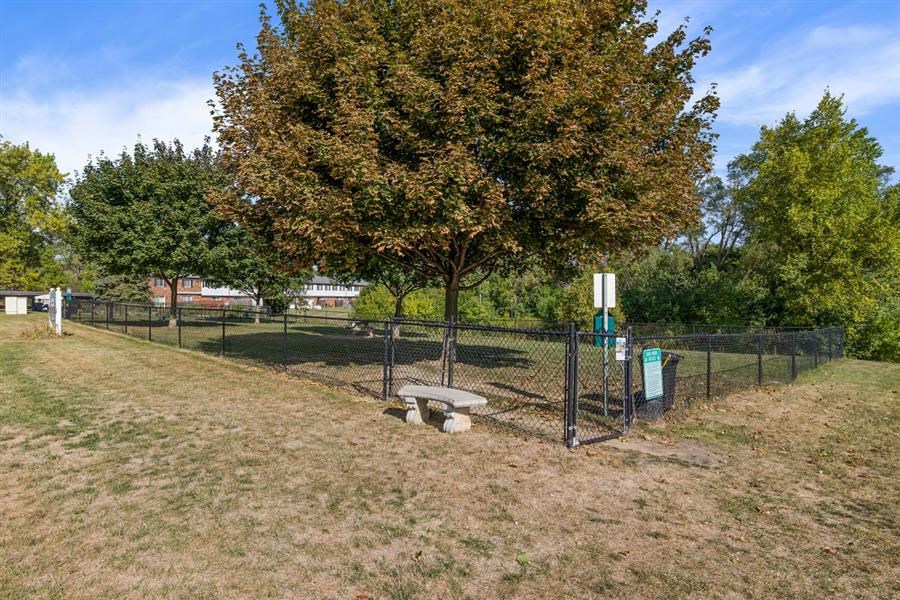 a park with a tree and a bench next to a fence