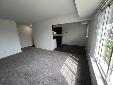 a living room with a gray carpet and a window