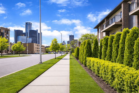 A sidewalk runs down the middle of a grassy area.