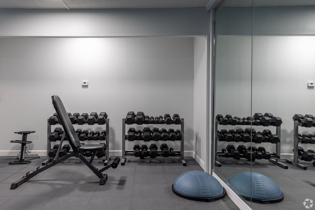 A gym with a bench, weights, and exercise balls.