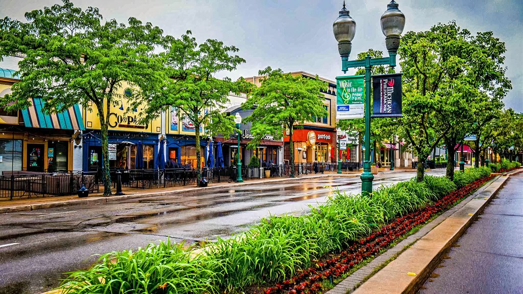 a city street with shops and trees on a rainy day