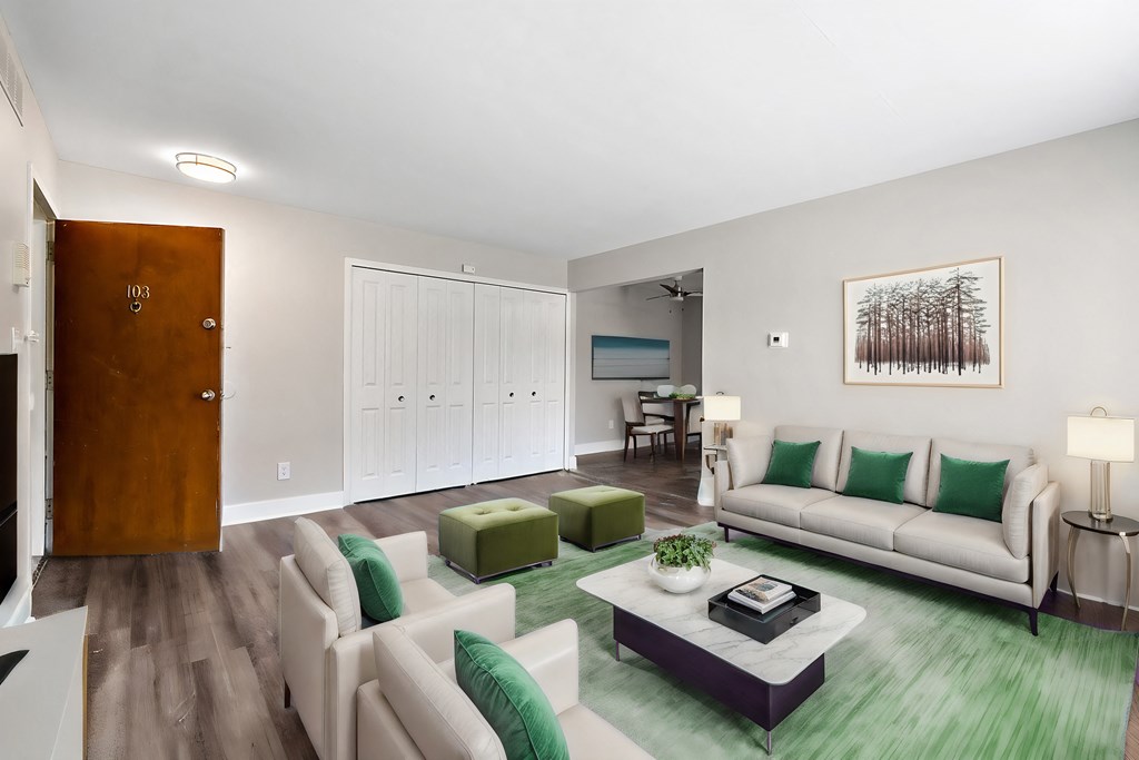 A living room with a white couch and a green rug.