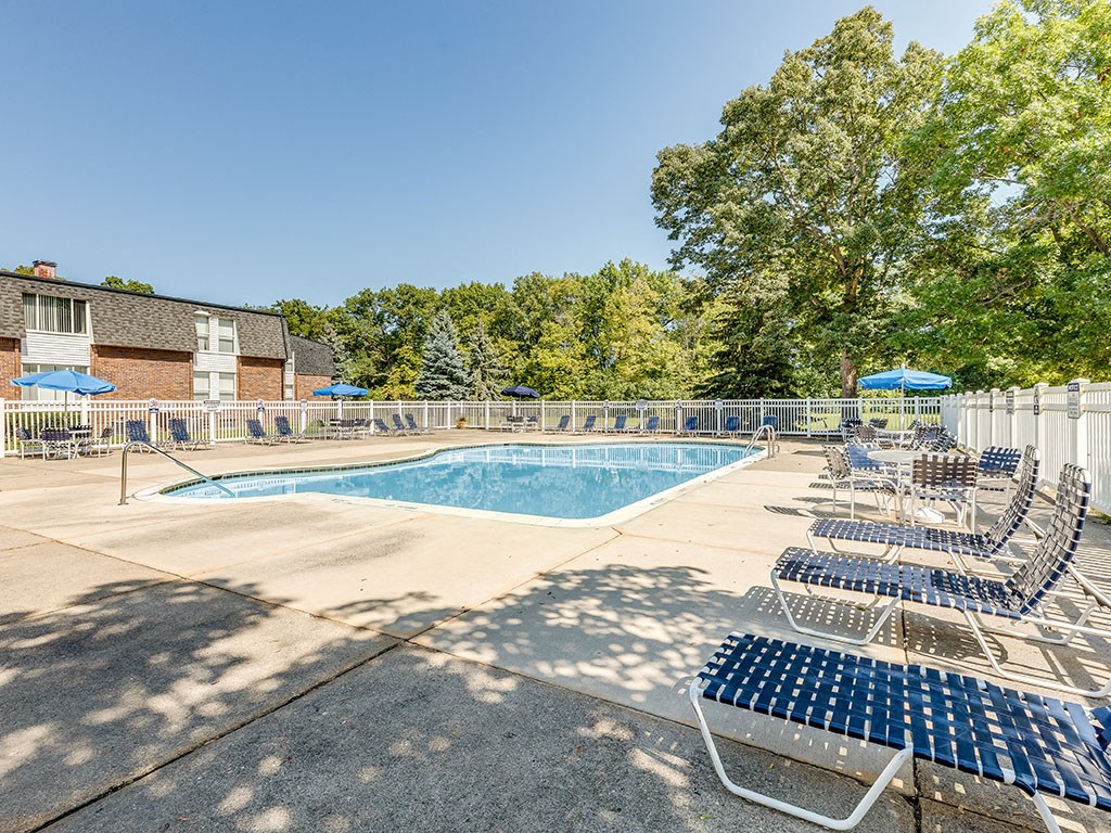 A sunny day at the pool with chairs and trees in the background.