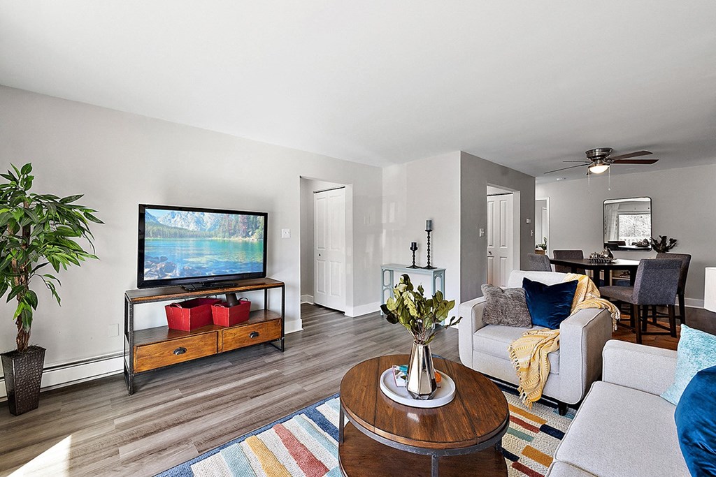 a living room with a couch and a tv