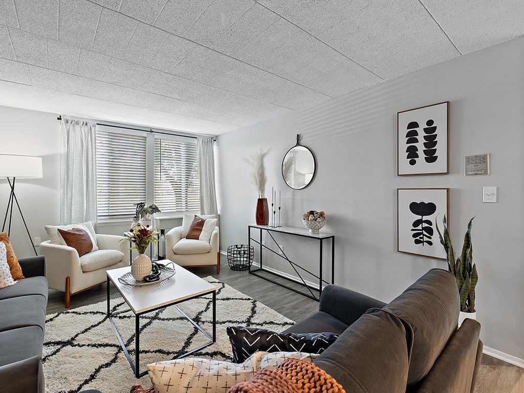 A living room with a brown couch, a white coffee table, and a rug with a geometric pattern.