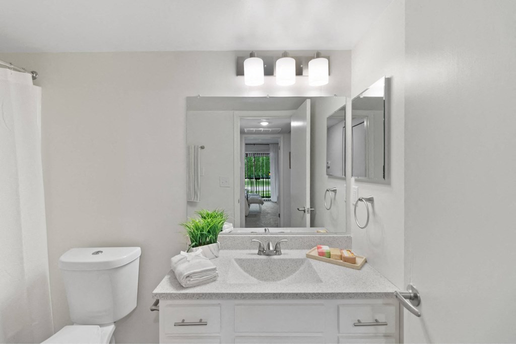 A bathroom with a toilet, sink, and mirror at The Waverly on the Lake - Belleville, MI Apartment , Belleville, MI