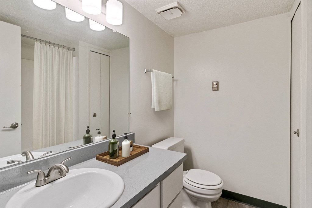 A white bathroom with a toilet, sink, and mirror at The Waverly on the Lake - Belleville, MI Apartment , Michigan, 95050