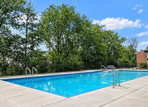 A swimming pool surrounded by trees and a fence.