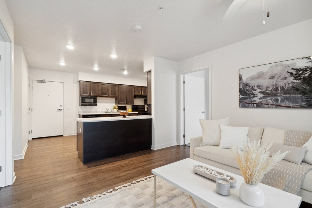 Kitchen and living area