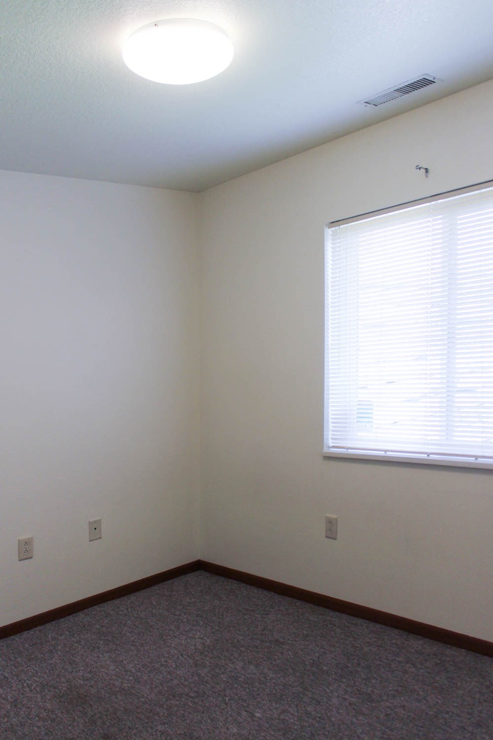 A room with a window and a carpeted floor.