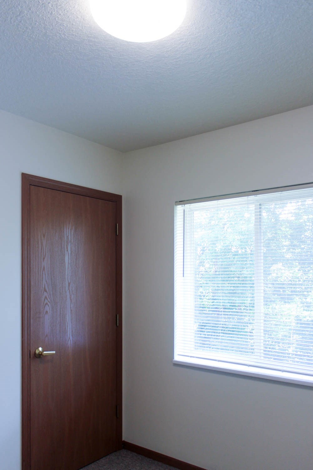 A brown door with a brass handle is in a room with a window.