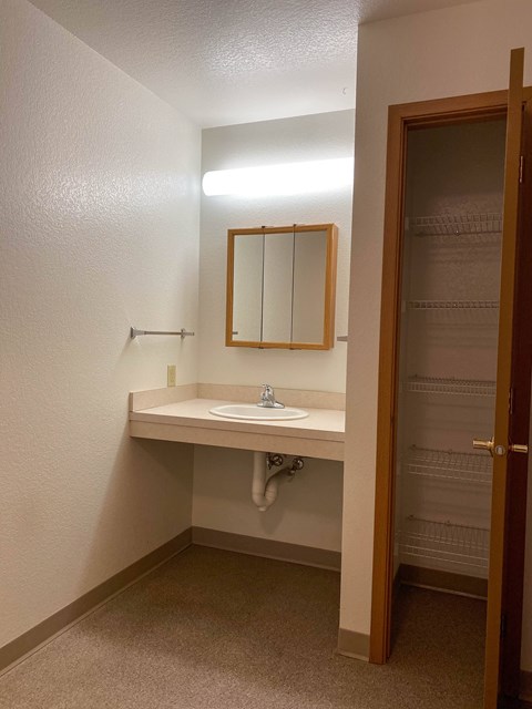 A bathroom with a sink and mirror.
