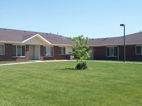 A small tree is in front of a building with a brown roof.
