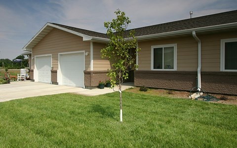 A small tree in front of a house.