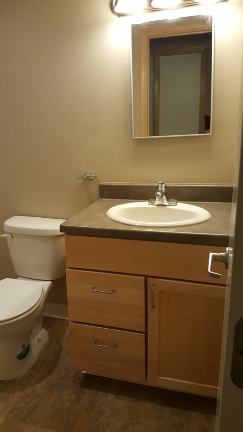 A bathroom with a toilet, sink, and mirror.