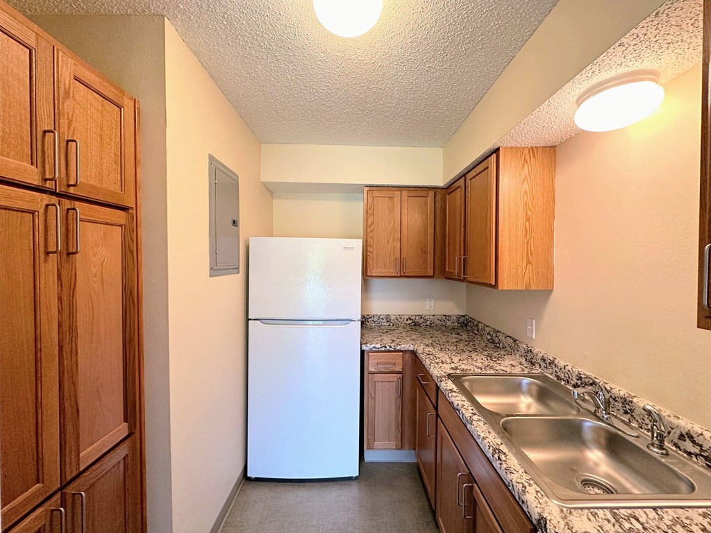 a kitchen with a refrigerator and sink and wooden cabinets