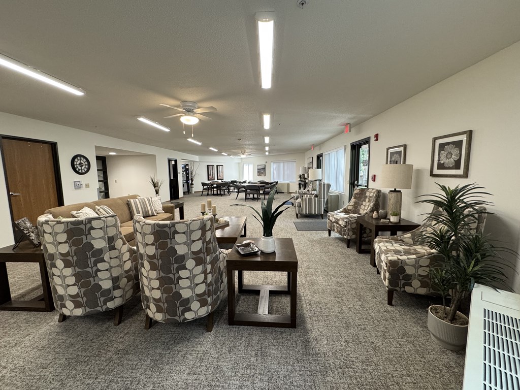 A living room with a grey carpet and patterned chairs.