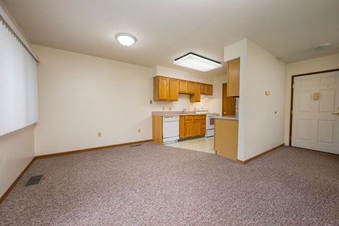 A kitchen area with a counter and cabinets.