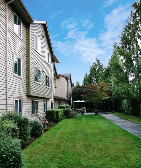a yard in front of a house with a sidewalk