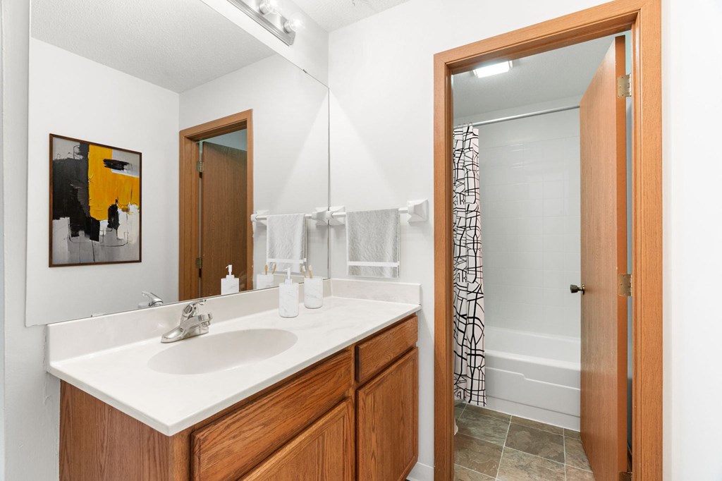 Willow Pond Apartments in Burnsville, MN Bathroom