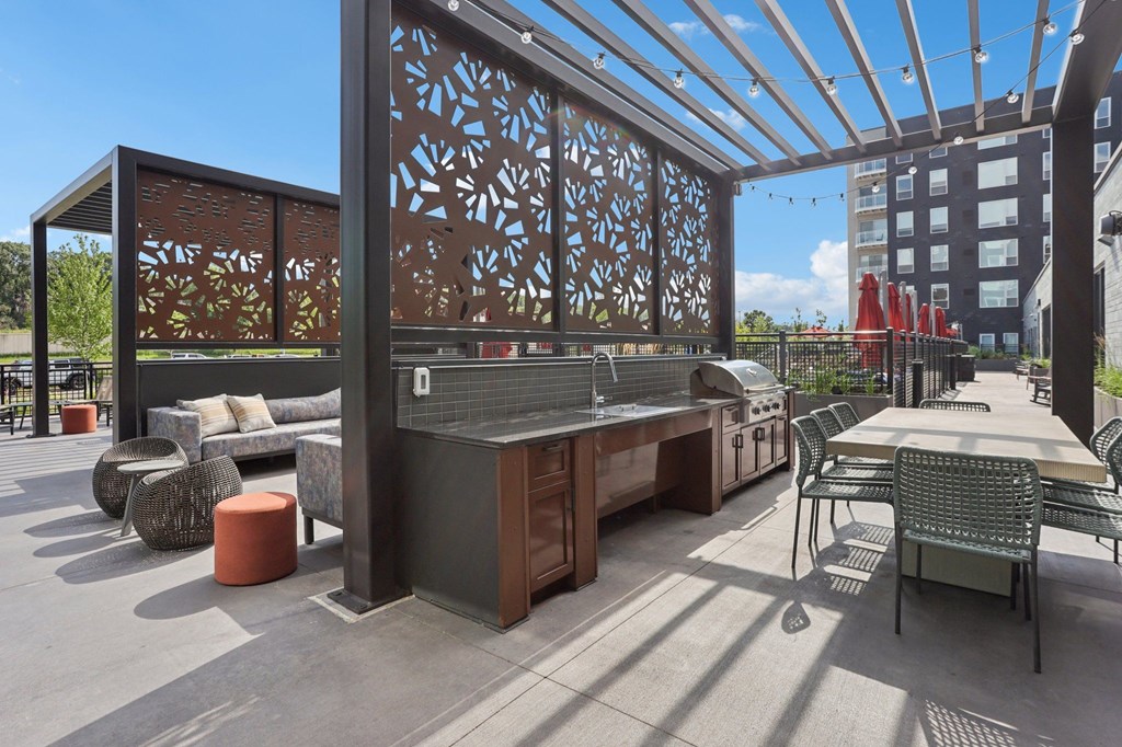 Grills and picnic area at The Mera in St. Louis Park, 55426