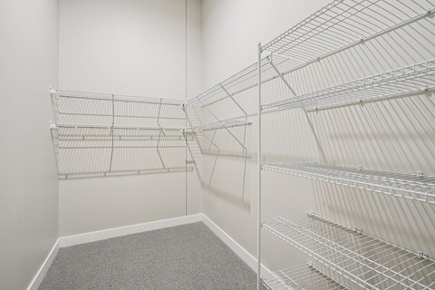 Empty walk-in closet with shelves and carpeted floor.